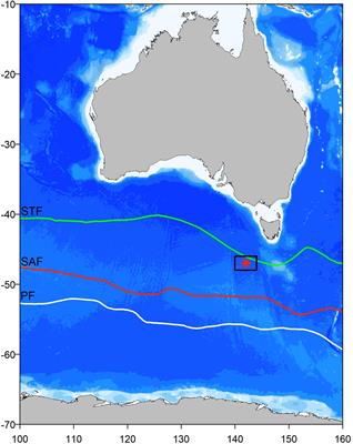 Observed amplification of the seasonal CO2 cycle at the Southern Ocean Time Series